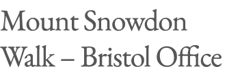 Mount Snowdon Walk – Bristol Office
